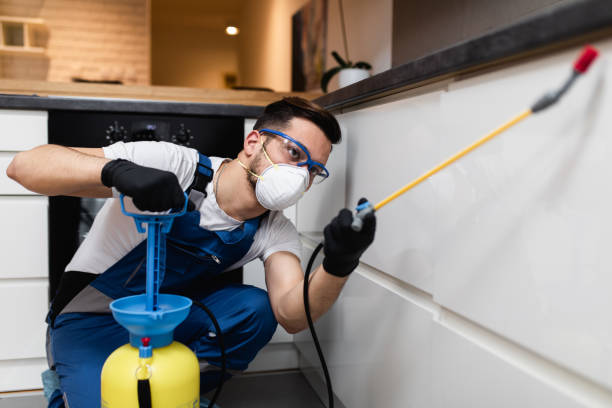 Best Flea Control Services  in Runaway Bay, TX