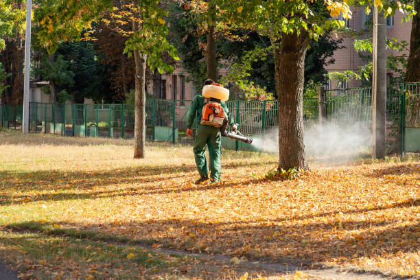 Best Best Pest Control Companies  in Runaway Bay, TX