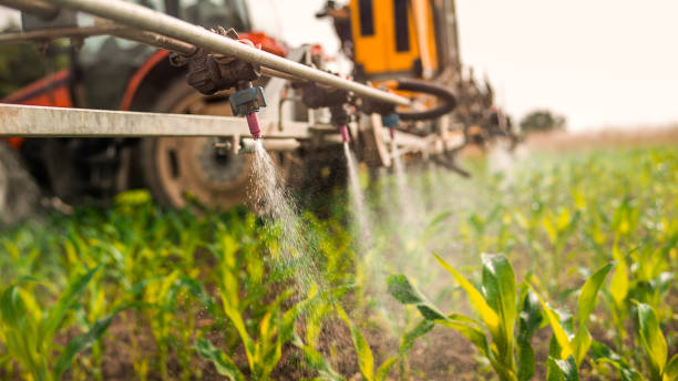 Best Mosquito Control Services  in Runaway Bay, TX